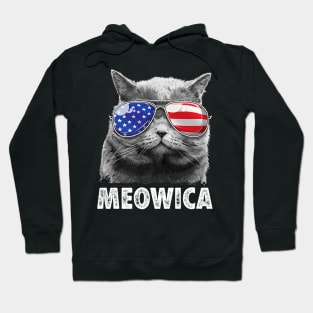 4th Of July Cat Shirt Hoodie